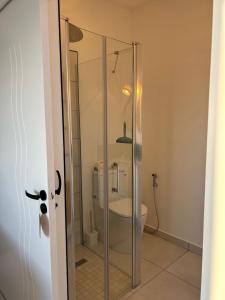 a glass shower in a bathroom with a toilet at le paradis vert bleu in Saint-Paul