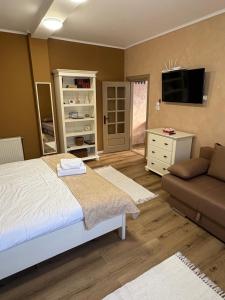 a bedroom with a bed and a couch and a television at Studio Sunrise in Sinaia