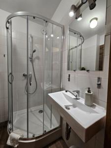 a bathroom with a glass shower and a sink at Zającówka in Polanica-Zdrój +88 photos