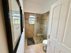 a bathroom with a toilet and a shower with a shower at Emmie's Cottage in Rietvlei Number 1