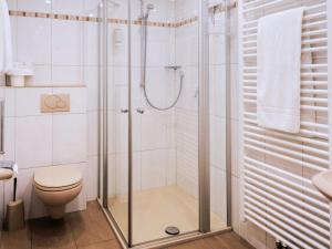 a bathroom with a shower and a toilet at Ferienweingut-Liebfried in Nehren