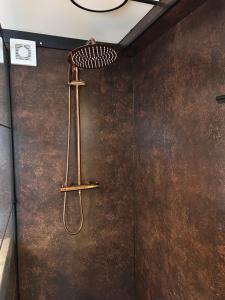 a shower in a bathroom with a brown wall at Vinkenland in Koningslust +32 photos