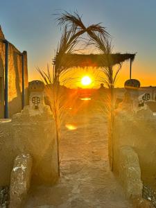 a sunset in the desert with a palm tree at Guest House For Rent Merzane in Merzane