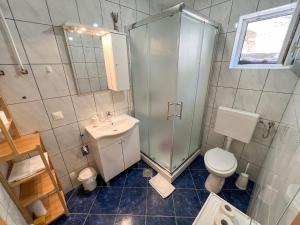 a bathroom with a shower and a toilet and a sink at Robinson Apollon in Gdinj