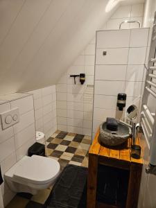a bathroom with a toilet and a sink at Veenemaat B&B in Winterswijk +57 photos