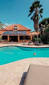 a swimming pool in front of a house with a palm tree at Coconuts Tropical Boutique Hotel Curaçao in Willemstad