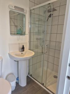 a bathroom with a sink and a shower at Lampay Chalets in Dunvegan