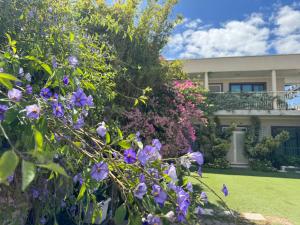 a garden with purple flowers in front of a house at Less pay for master room in Rosewater