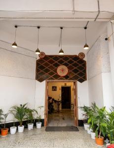 a hallway with potted plants and pendant lights at M D Guest House in Guwahati