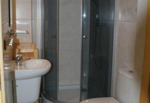 a bathroom with a shower and a sink at Dom w Kwiatach in Ojców