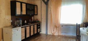 a kitchen with a refrigerator and a window in a room at Топірець in Vorokhta