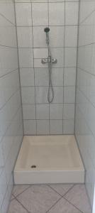 a shower stall with a tub and a shower head at Magura Camp in Małastów