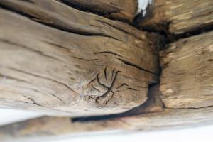 a close up of a piece of wood with wrinkles at Nengshof Ferienhaus Gänseblümchen in Wißmannsdorf +25 photos