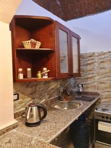 a kitchen counter with a sink and a tea kettle at Nur al Nil Garden House in Luxor
