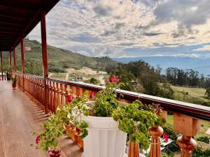 a balcony with potted plants and a view of the mountains at Andina Amazon Lodge in Chachapoyas