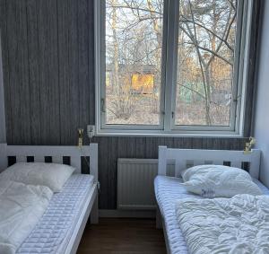 two beds in a bedroom with two windows at Haraldsgården Vandrarhem in Blidö +5 photos