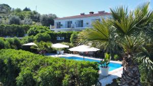 a villa with a swimming pool and palm trees at Sobremesa Boutique in Sayalonga +38 photos
