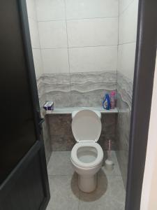 a bathroom with a toilet and a shower at Апартамент in Yerevan