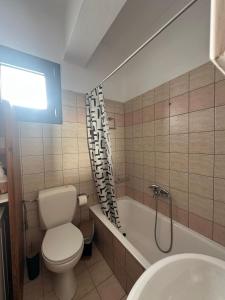 a bathroom with a toilet and a tub and a sink at Η Μουριά in Konitsa +8 photos