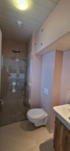 a bathroom with a shower and a toilet and a sink at Mjóanes accommodation in Hallormsstaður +92 photos