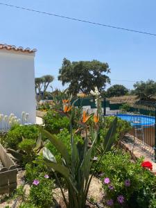 a garden with flowers and a swimming pool at Casa do Ti Chico in São Luis