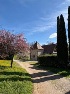 a house with trees and a gravel road at Jolie Roulotte in Issendolus