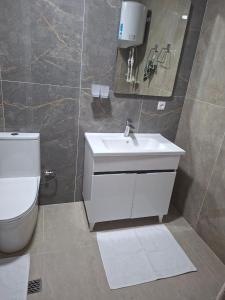 a bathroom with a sink and a toilet at Ramzan Family Guest House in Samarkand