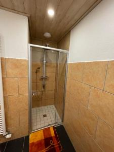 a shower with a glass door in a bathroom at Ferienwohnung Karin in Losheim