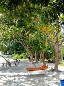 an orange swing hanging from a tree in a park at Amera Beach in Karimunjawa
