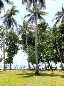 a group of palm trees on a beach with a swing at Amera Beach in Karimunjawa