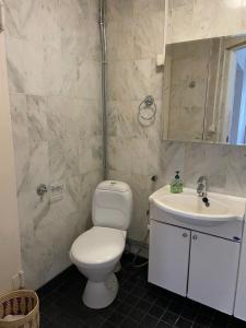 a bathroom with a toilet and a sink at Kaliininkuja 1 in Lapua