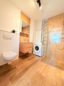 a bathroom with a toilet and a washing machine at Noclegi Świerzawa 43 in Świerzawa
