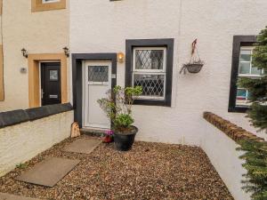 a house with a potted plant in front of it at 25 Low Seaton in Workington