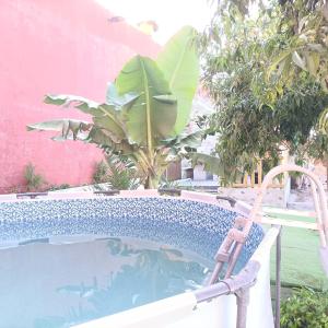 a pool with a chair next to a plant at Chalet Ruta El Saucillo in Gáldar