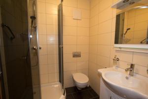 ein Bad mit einer Dusche, einem WC und einem Waschbecken in der Unterkunft Hotel Rhein-Mosel-View in Koblenz