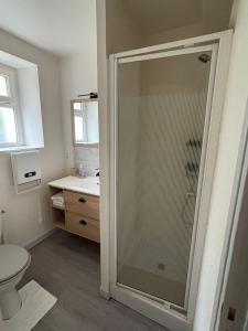 a bathroom with a shower with a toilet and a sink at Sur Egletons - Le Cocon Egletons in Égletons
