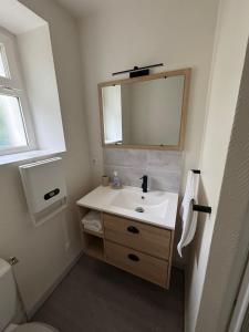 a bathroom with a sink and a mirror at Sur Egletons - Le Cocon Egletons in Égletons