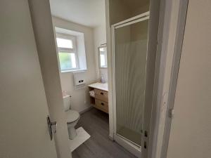 a bathroom with a toilet and a sink and a window at Sur Egletons - Le Cocon Egletons in Égletons