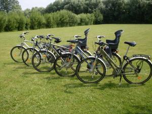 a row of bikes parked in a field at Le Pic-Vert in Rang-du-Fliers