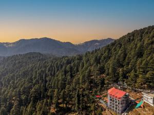 an aerial view of a mountain with trees at Zostel Homes Khajjiar in Chamba