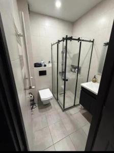 a bathroom with a shower and a toilet and a sink at Cozy Corner in Tbilisi City +9 photos