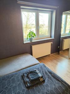 a bedroom with a bed and two windows at Auerandstudio in Nienhagen