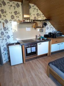 a kitchen with a sink and a stove at Auerandstudio in Nienhagen