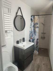 a bathroom with a sink and a mirror and a toilet at Chez Olga studio indépendant in Giberville