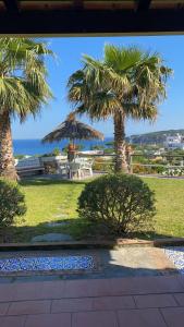 a view of a park with two palm trees and the ocean at Villa Brigio in Forio d'Ischia +11 photos