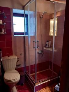 a bathroom with a toilet and a glass shower at Alma-Maroon Klara & Rachel in Drymon