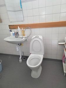 a bathroom with a toilet and a sink at Ett mysigt appartement in Linköping