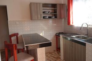 a small kitchen with a counter and a sink at Kristina Gardens 1BD & Studio Homes in Voi