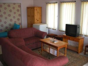 TV a/nebo společenská místnost v ubytování Hotel Strajica