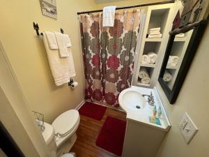a small bathroom with a toilet and a sink at Mountain home in Newland in Newland +38 photos